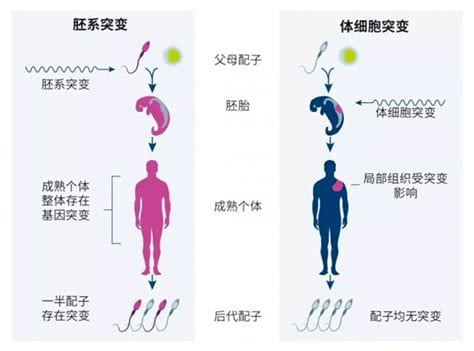 上海基因检测组织(上海基因检测组织名册)