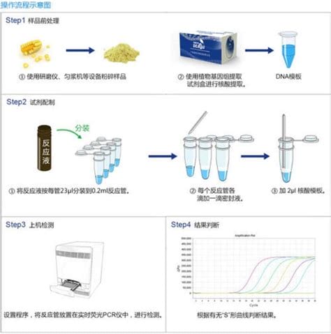 pcr反映都需要什么实验试剂(pcr中实验试剂作用)