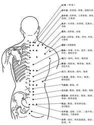 四大名穴是哪四个，关元穴/足三里/合谷穴/三阴交十分常用