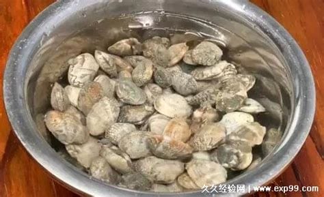 花甲怎样去沙最干净最快，强推第四种