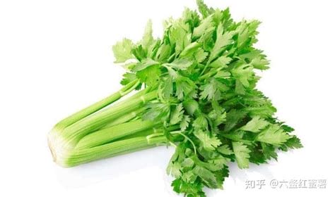 防癌第一的山野菜排名榜全新防癌野菜有哪些