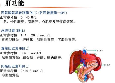 谷氨酰转肽酶偏高的原因