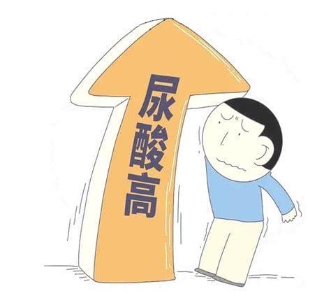 什么会引起尿酸高