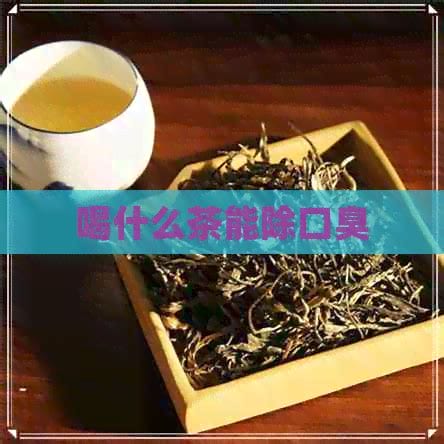 喝什么茶除口臭