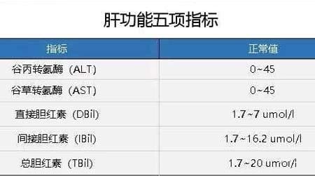 肝功能五项是哪五项