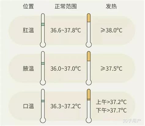 人体正常温度是多少