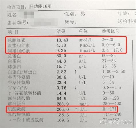 总胆红素和间接胆红素偏高的原因