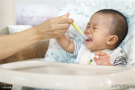 八个月的宝宝吃什么辅食好