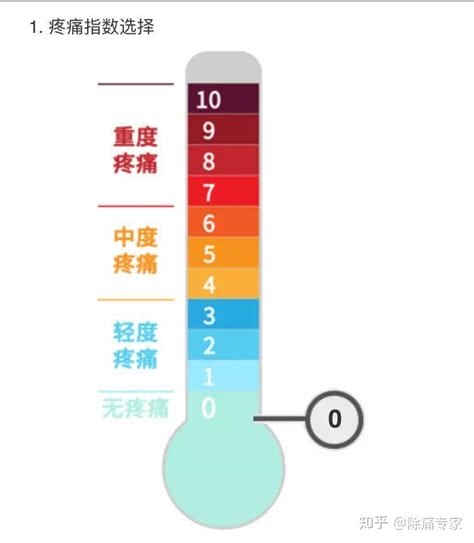 疼痛等级如何划分