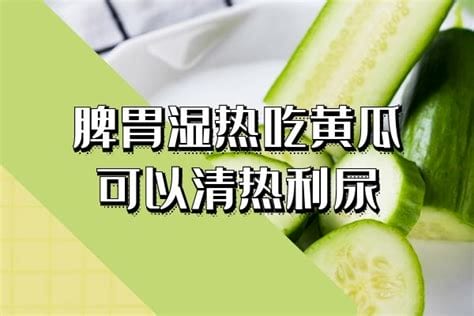 肠胃湿热吃什么食物