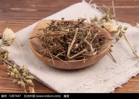 中药大飞扬图片