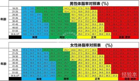 成年女性体脂率正常范围是多少